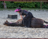 2-13JUIN 0113